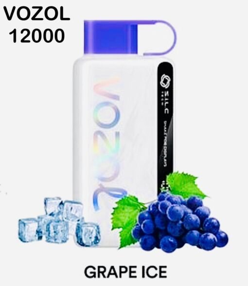 Vozol Star 12000 Puffs Disposable IN DUBAI